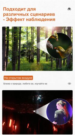 Бинокль Eyeskey Captor ED-10x42 EyeS-B113 от прозводителя Eyeskey