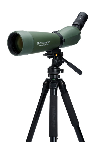 Зрительная труба Celestron REGAL M2 80 ED 20-60x80mm CE-52305 от прозводителя 
