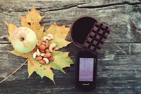 Garmin Oregon 700t